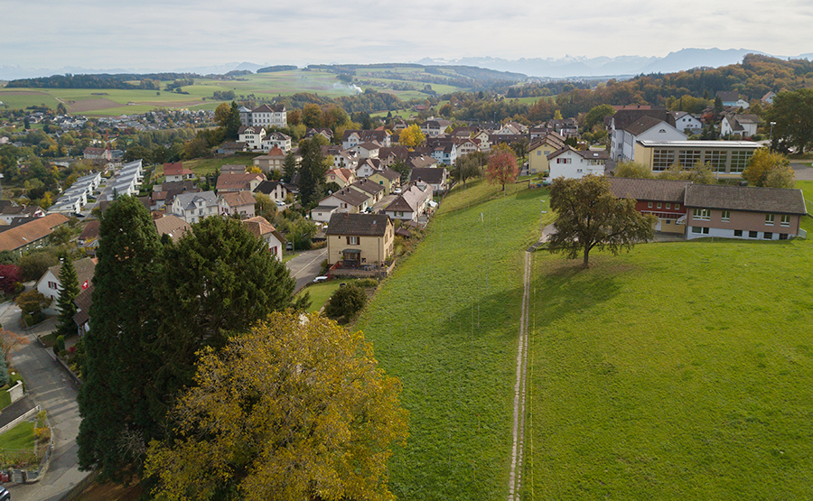 Burg Bauland