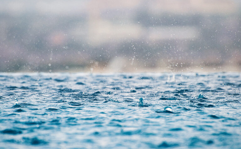 Wasser sparen mit dem Regenwassertank